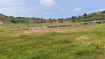 HDPEĤ����ע������������ƣ�