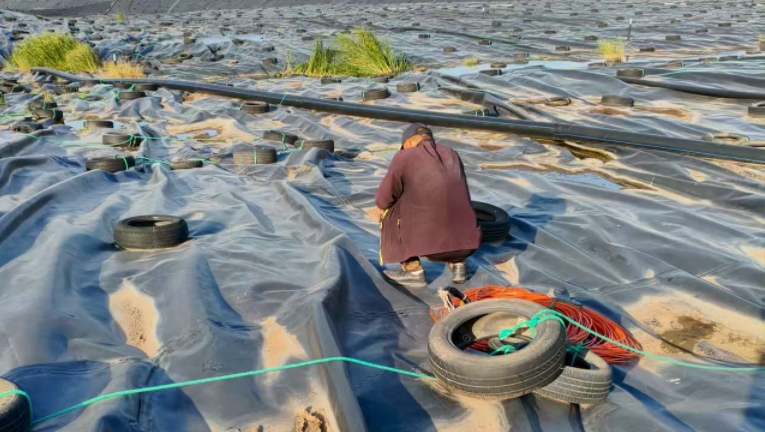 Σ�շ������񳡼���·�߶Աȣ����Խṹ����Խṹ��ѡ����ԣ�