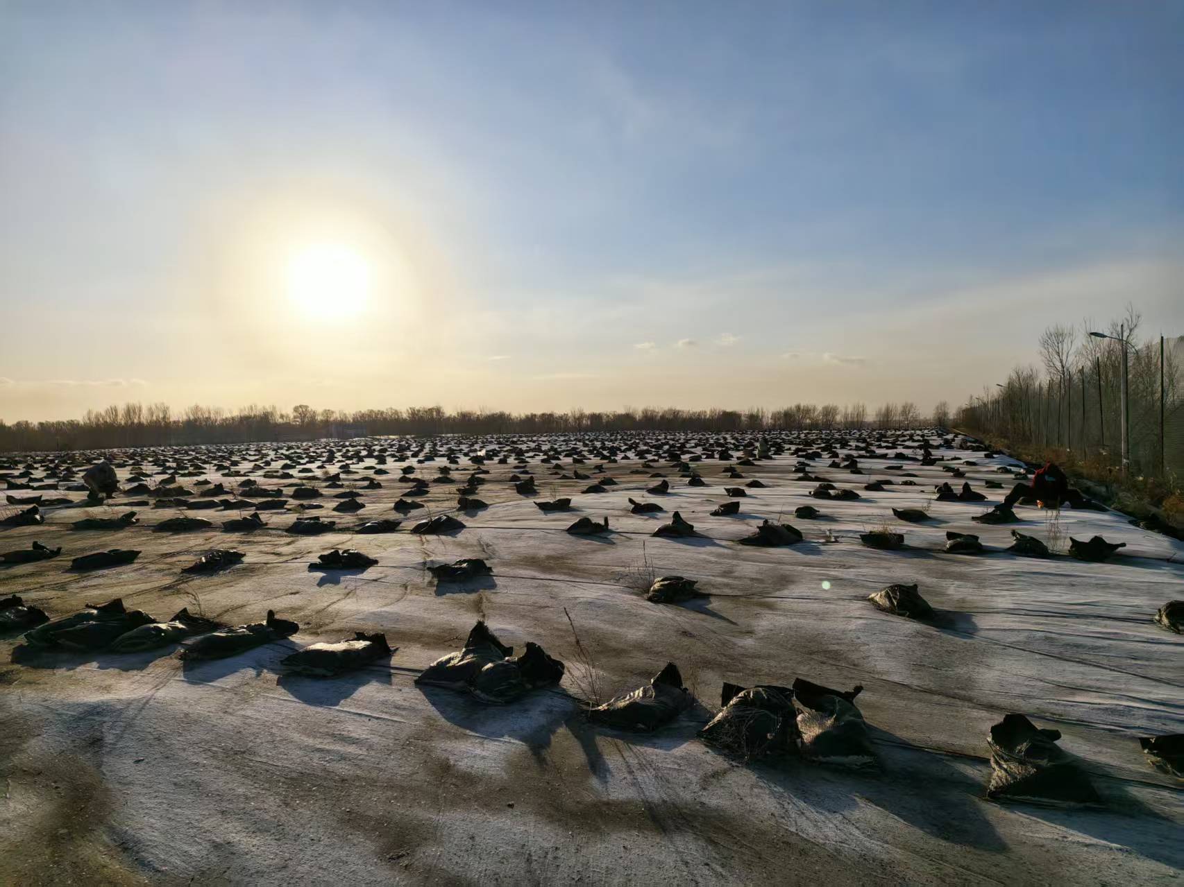 ũ������Υ���㵹����ս�����񳡵�Ӧ��֮�ߣ�