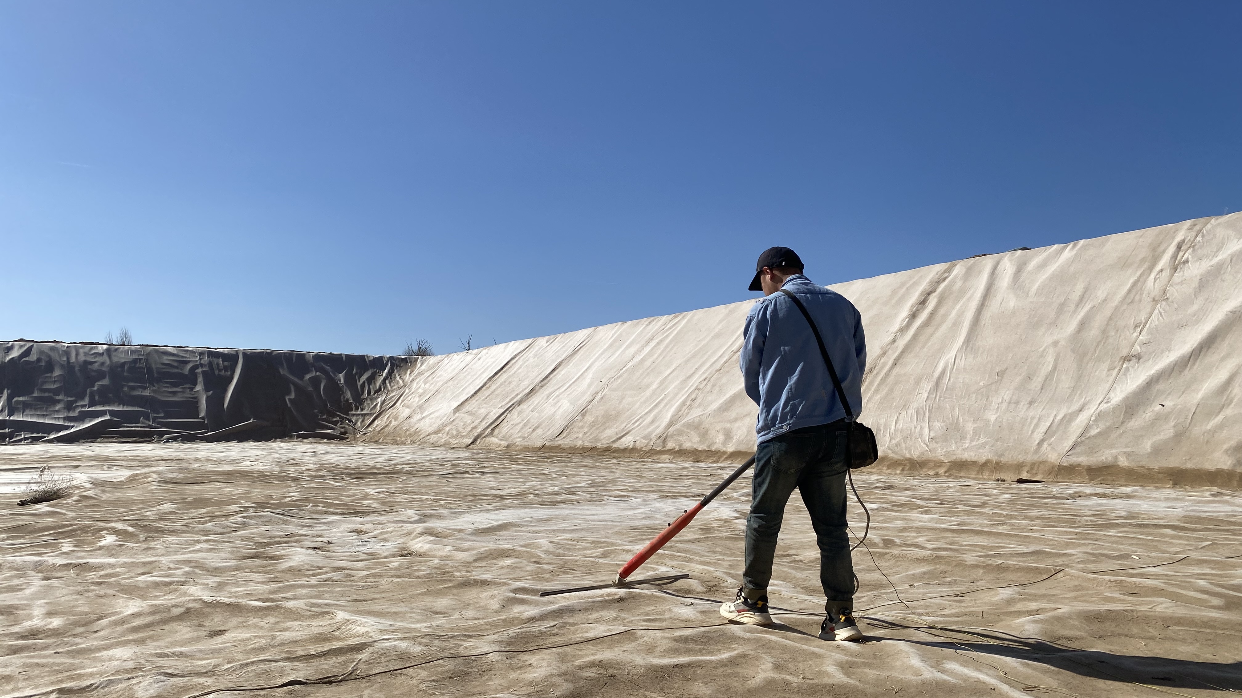 ��ţ�����ϳ���������������������Ŀ