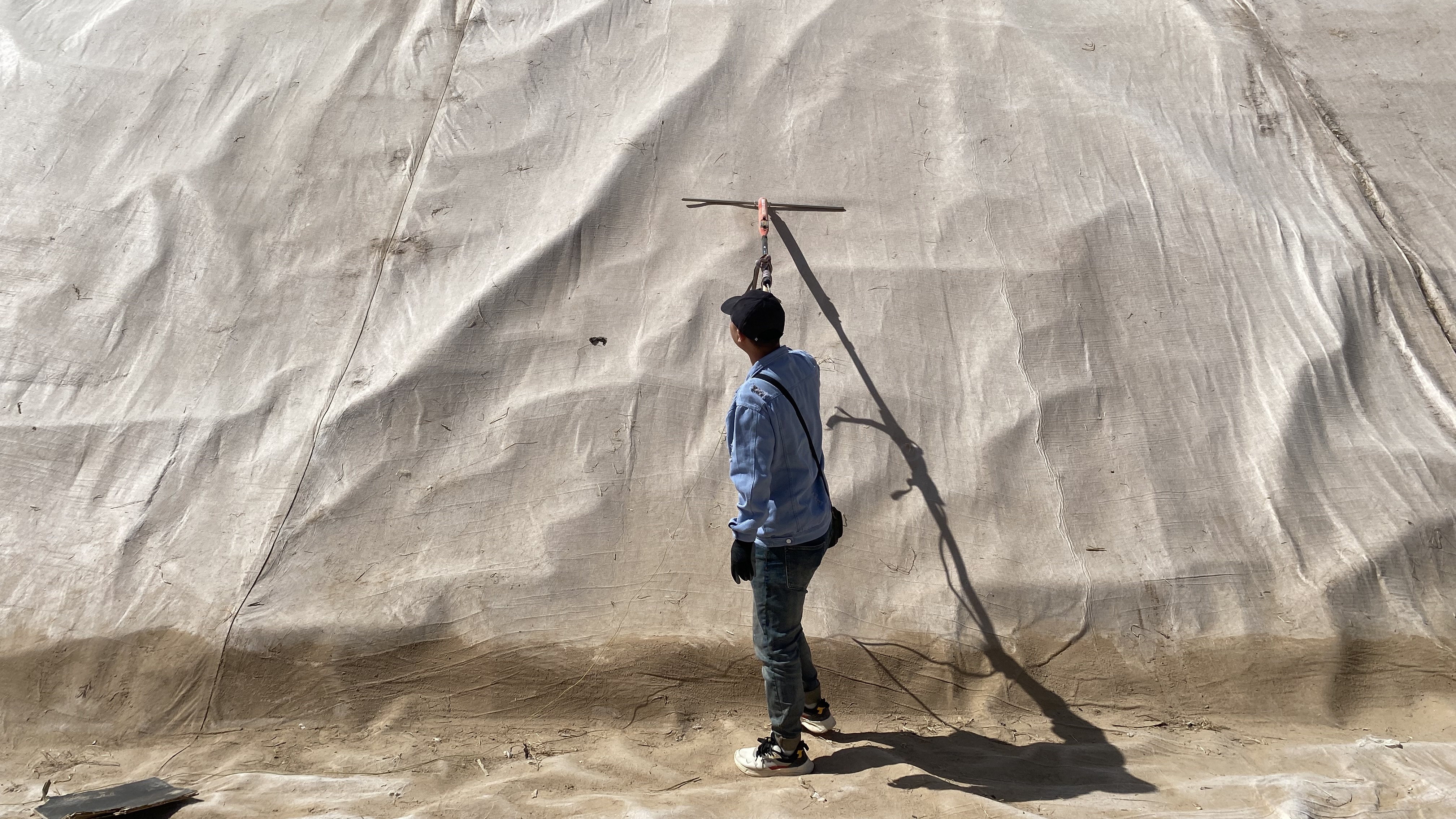 ��ţ�����ϳ���������������������Ŀ